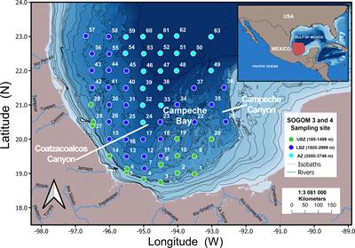 Macrofauna abundance and diversity patterns of deep sea southwestern Gulf of Mexico